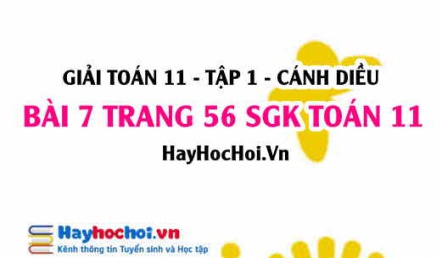 Giải bài 7 trang 56 Toán 11 tập 1 SGK Cánh Diều